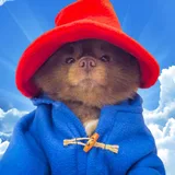 Bertram The Pomeranian